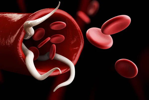 3D απεικόνιση μιας ομάδας έλμινθες με κυττάρων αίματος. — Φωτογραφία Αρχείου