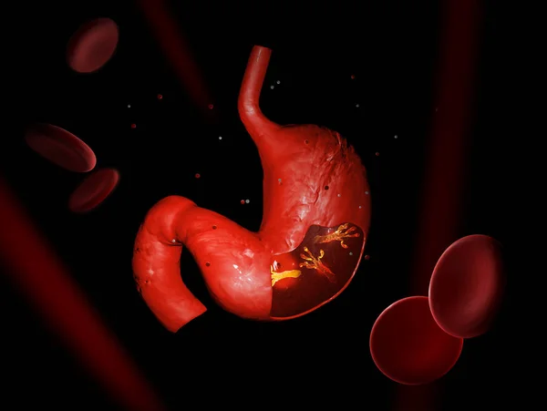 Helicobacter Pylori, midesinde buldum da mikroaerofilik bakterilerin. 3D çizim.