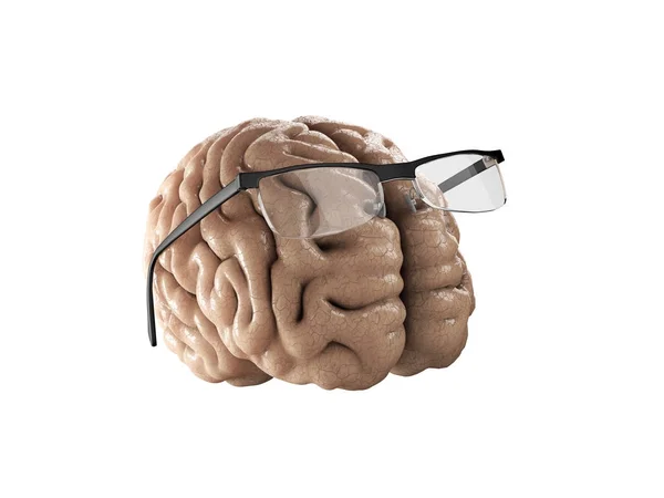 Ilustración 3d del cerebro con gafas. blanco aislado — Foto de Stock