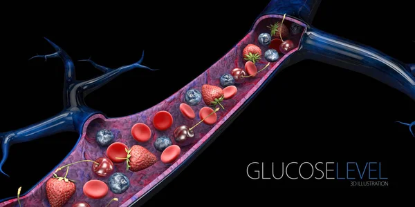 Nivel de azúcar en sangre o nivel de glucosa. Vasos sanguíneos con frutas y glóbulos rojos, 3d ilustración — Foto de Stock