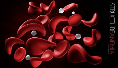 3d illustration of anemia cell isolated black background clipart