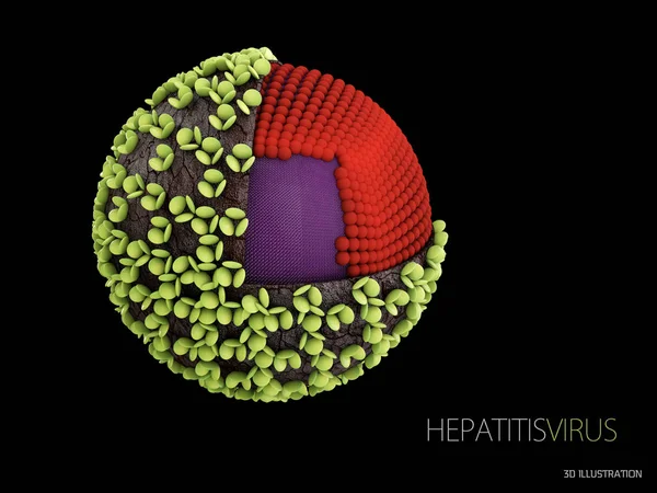 3D obrázek viru hepatitidy. Struktura viru hepatitidy B — Stock fotografie