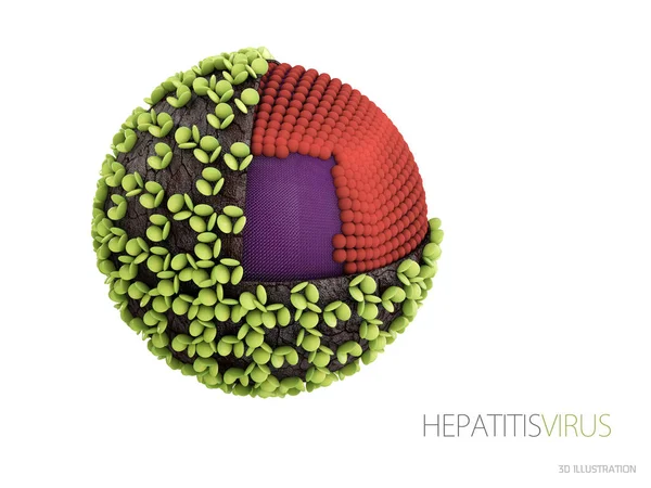 Virus hepatitidy. Struktura viru hepatitidy B. 3D obrázek — Stock fotografie