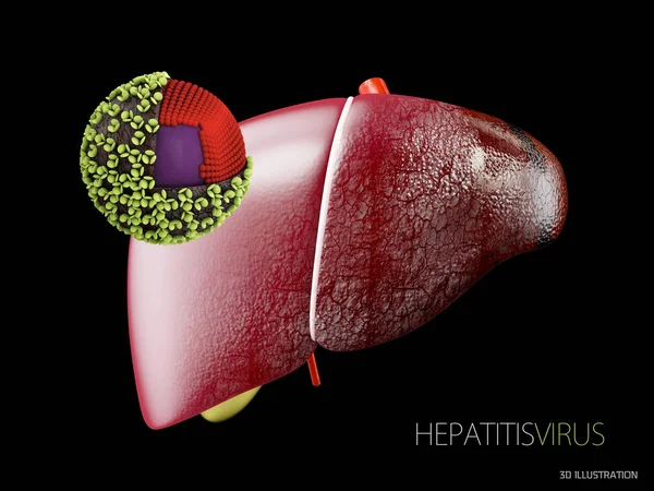 Játra s virem hepatitidy. Struktura viru hepatitidy B. 3D obrázek — Stock fotografie