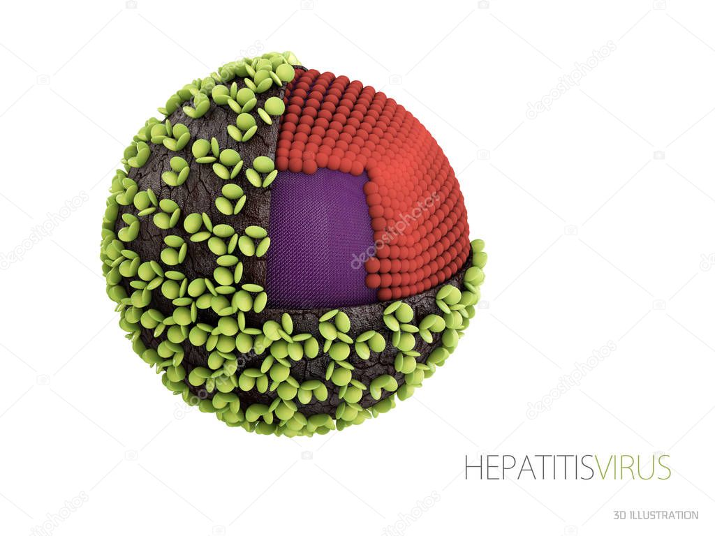 Hepatitis virus. Structure of the hepatitis B virus. 3d illustration