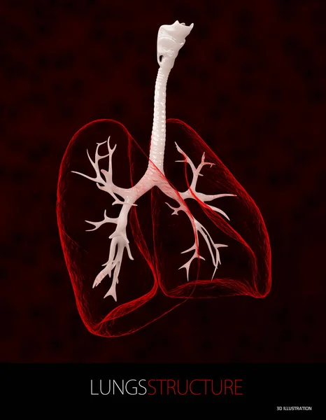 Ilustración 3d de la estructura pulmonar, atención sanitaria aislada negro — Foto de Stock