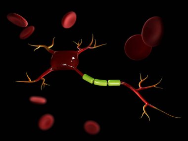 nöron hücreleri kan hücreleri, yüksek çözünürlükte 3d çizim ile 3D çizimi