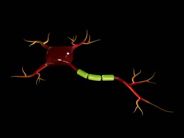 3D çizim nöron hücre siyah yüksek çözünürlükte 3d illüstrasyon izole
