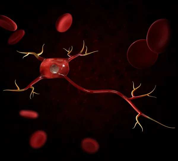 3d illustration of neuron cells with blood cells, high resolution 3D illustration — Stock Photo, Image