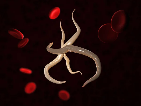 Vermes parasitas nematoides com células sanguíneas, ilustração 3d — Fotografia de Stock