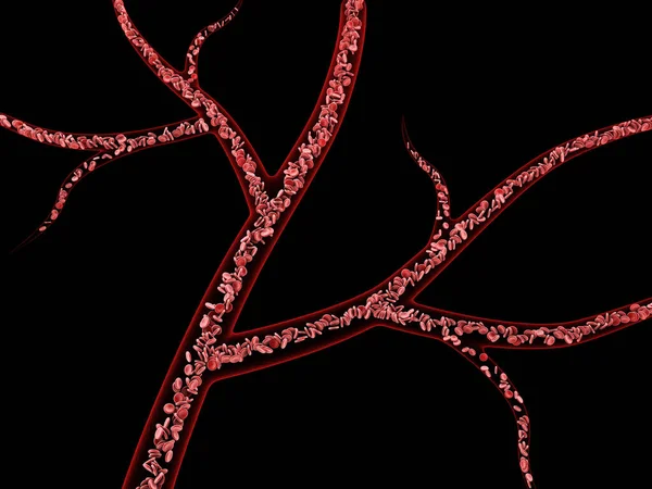 3D黑色背景下静脉红血球的特征分析 — 图库照片