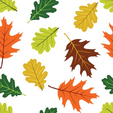 Meşe yaprağı Dikişsiz desen beyaz arka plan
