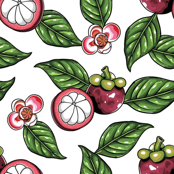 mangosteen Dikişsiz desen beyaz arka plan