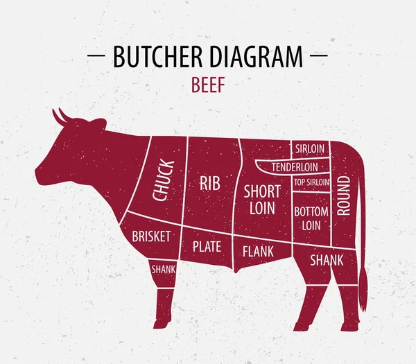 Kus hovězího masa. Plakát řezník diagram pro potraviny, maso ukládá. — Stockový vektor