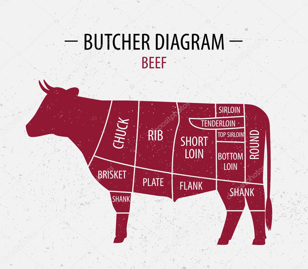 Cut of beef. Poster Butcher diagram for groceries, meat stores.
