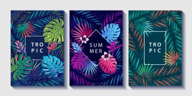Tropikal yaprak ve çiçek tasarım Poster Seti.