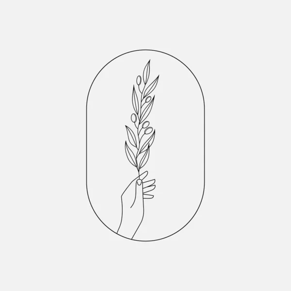 Main tenant branche d'olivier icône, signe, emblème, logo — Image vectorielle