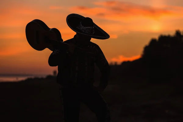 Músico na costa. Silhueta ao pôr do sol . — Fotografia de Stock