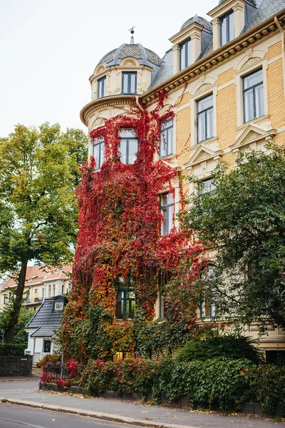 Осенний город Европы — стоковое фото