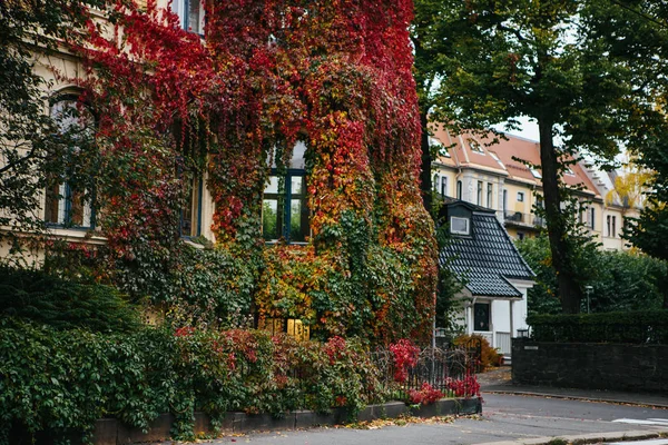 Autumn city in Europe — Stock Photo, Image