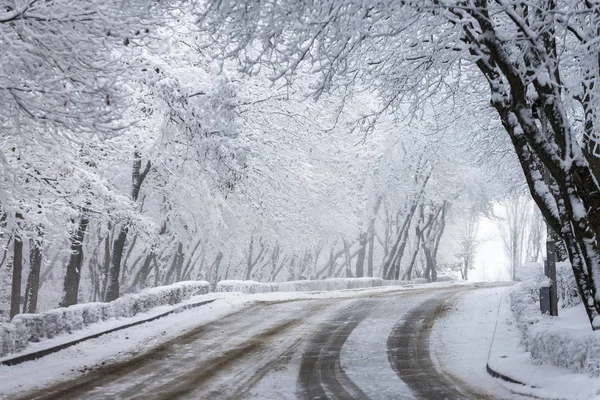 Kış asfalt yol — Stok fotoğraf