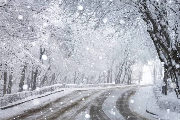 Route asphaltée d'hiver — Photo