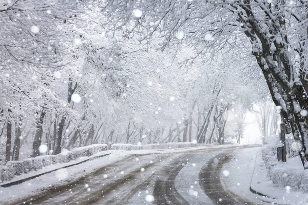 Camino de asfalto de invierno —  Fotos de Stock