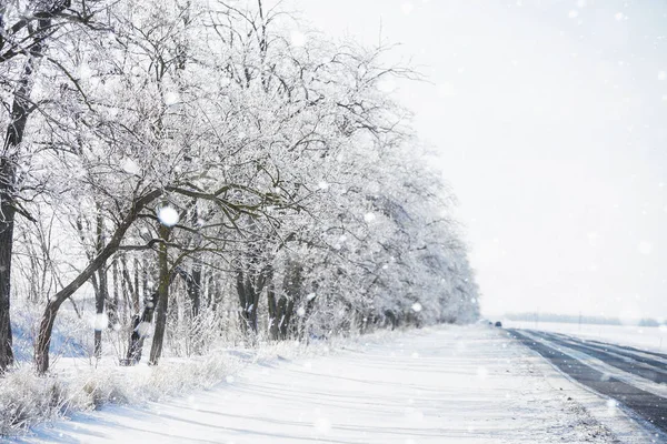 Estrada de asfalto de inverno — Fotografia de Stock