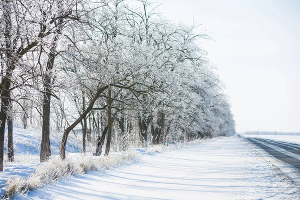 Camino de asfalto de invierno —  Fotos de Stock