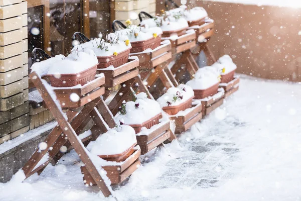Flowerpots covered snow — Stock Photo, Image