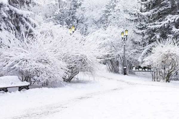 雪に覆われた公園 — ストック写真