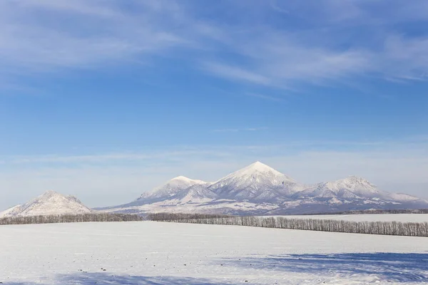 Mountain peaks covered with snow — Stock Photo, Image