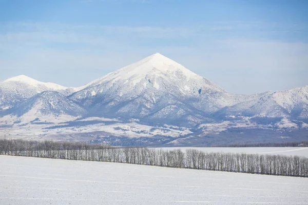 Гірські вершини вкриті снігом — стокове фото