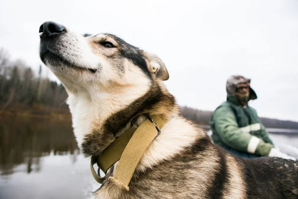 Misherman med hund i båt — Stockfoto