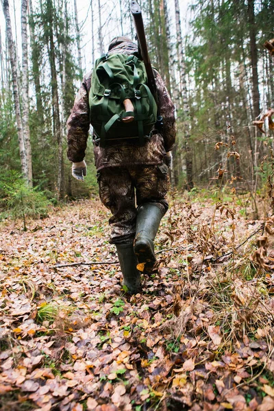 Hunter promenader i skogen — Stockfoto