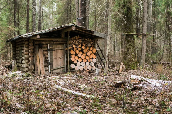 Old hunting lodge in forest — Stock Photo, Image