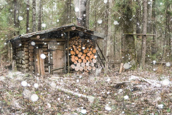 Старый охотничий домик в лесу — стоковое фото
