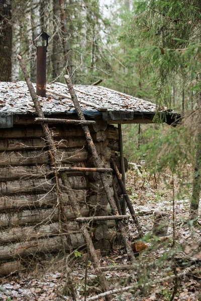 Stary domek w lesie — Zdjęcie stockowe