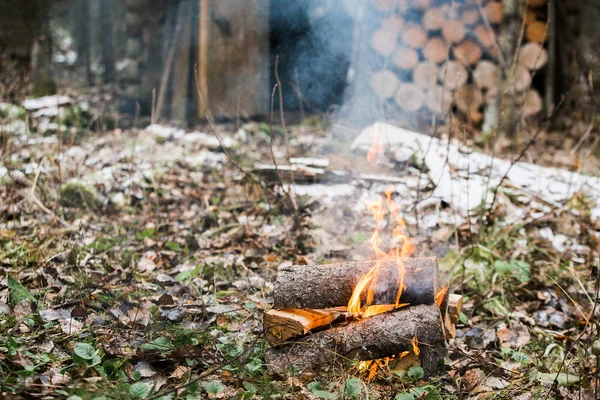 Hoguera ardiente en el bosque — Foto de Stock