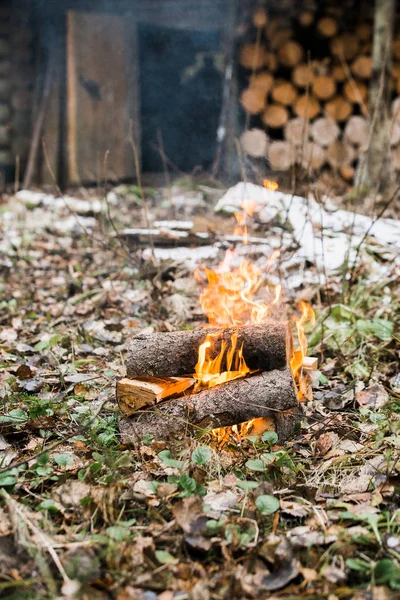 燃烧在森林里的篝火 — 图库照片