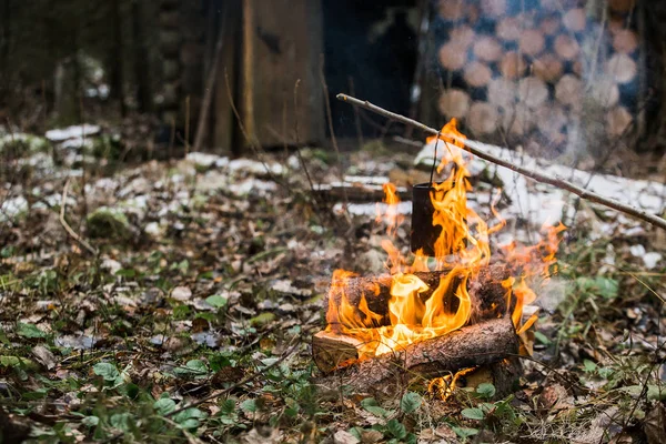 Cuisiner sur le feu dans la forêt — Photo