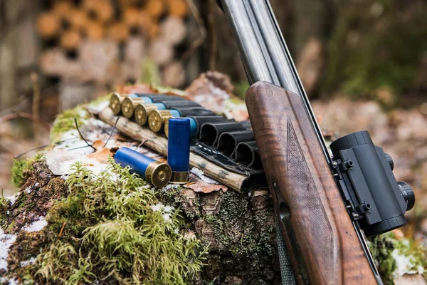 Hunting lodge and  cartridges. — Stock Photo, Image