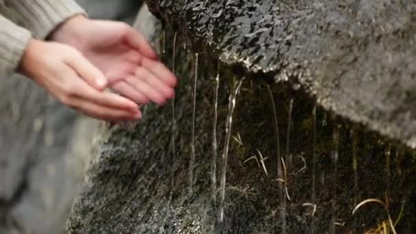 Female hands collecting water from a mountain — Stock Video