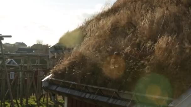 Tkaní trávou na střeše domu — Stock video