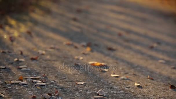 Woman walking on the road — Stock Video