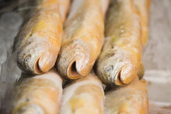 Mercado de peixe nas ruas de Seul — Fotografia de Stock