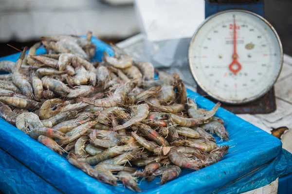 Camarões no mercado de frutos do mar . — Fotografia de Stock