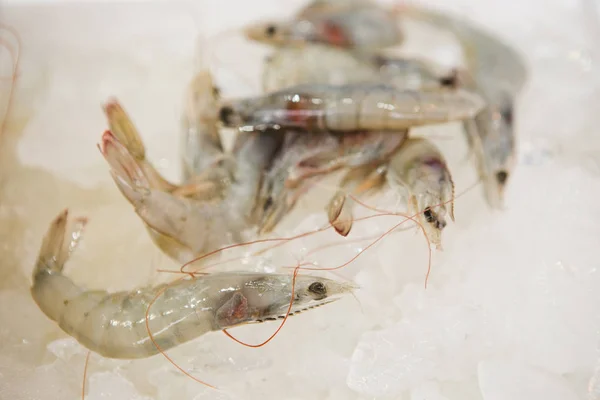 Raw prawns close-up. — Stock Photo, Image