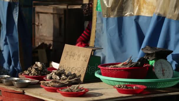 Vendedor en el mercado de mariscos — Vídeos de Stock