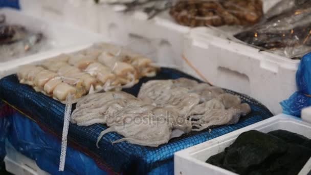 Muscheln, Garnelen, Venusmuscheln und Fische gelegt — Stockvideo